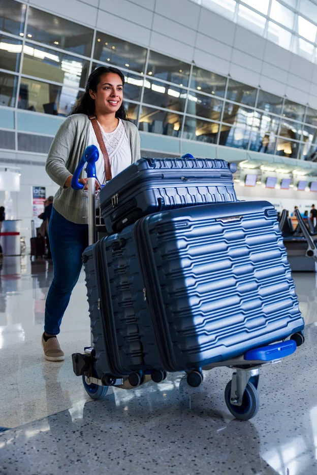 Luggage carts services