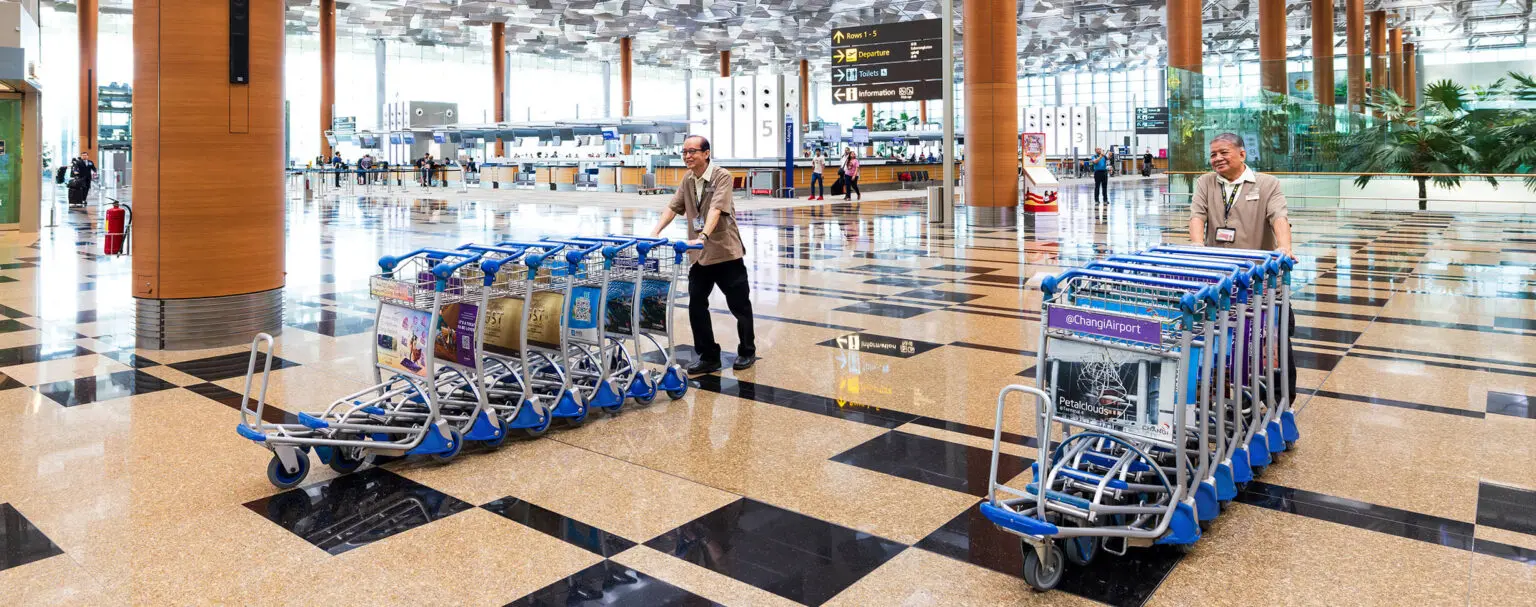 Luggage cart