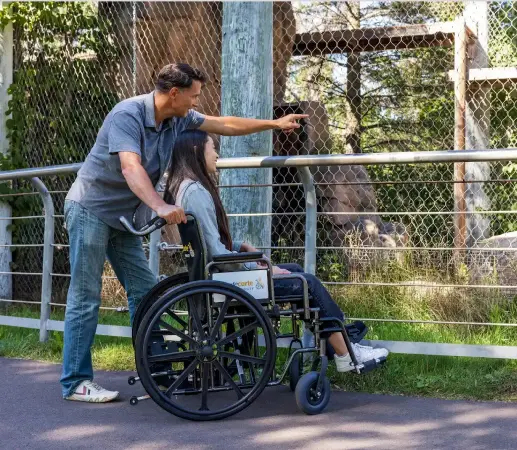 wheelchair